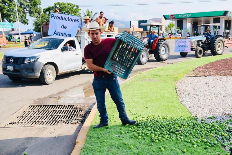 En este momento estás viendo ‘Persistente desinterés de regidores y diputados por los problemas del campo’: productores de limón exigen atención