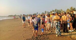 Lee más sobre el artículo Liberación de tortugas en Boca de Pascuales se consolida como atractivo turístico, afirma la comisaria