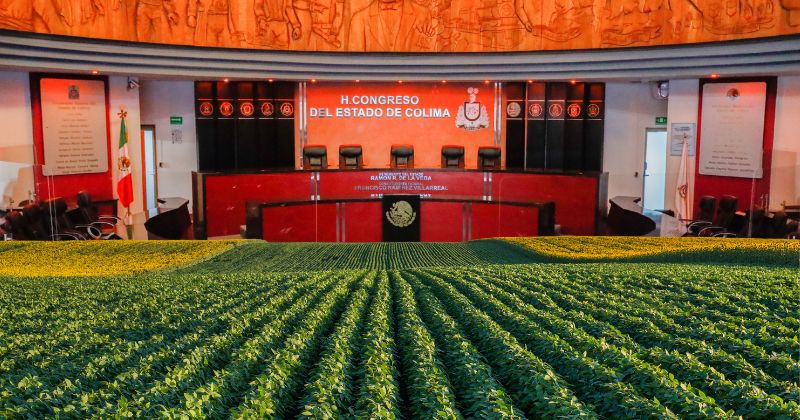 En este momento estás viendo Cuarta Transformación aumenta el apoyo al campo colimense en presupuesto 2026