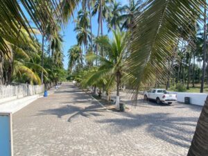 Lee más sobre el artículo Gobierno de Tecomán realiza limpieza en el malecón de Playa El Real ante inicio del puente vacacional