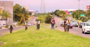 Lee más sobre el artículo Administración de Riult Rivera redobla acciones de embellecimiento en parques y jardines de la capital