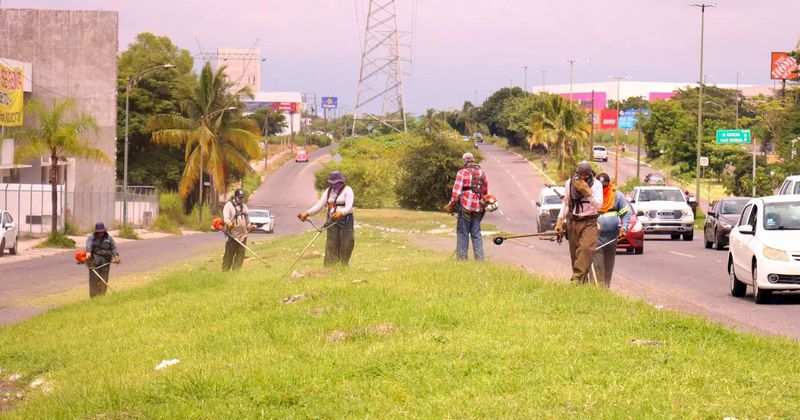 En este momento estás viendo Administración de Riult Rivera redobla acciones de embellecimiento en parques y jardines de la capital