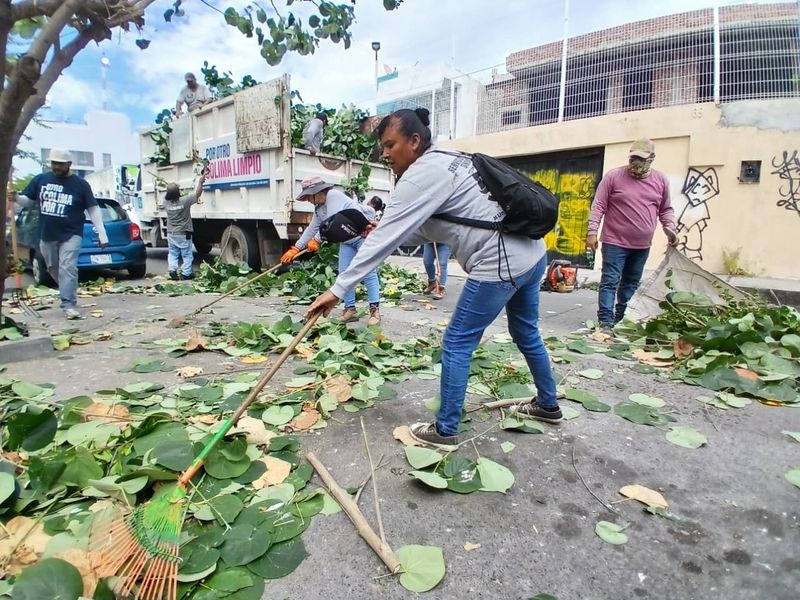 En este momento estás viendo Colima mejora su imagen con limpieza y poda en zonas urbanas