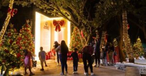 Lee más sobre el artículo Cerca de 10 mil personas disfrutaron el primer fin de semana del Bosque Navideño en el Parque Regional de Colima
