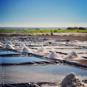 Lee más sobre el artículo Las Salinas de Cuyutlán: 500 años de historia y una tradición que sigue viva en Colima