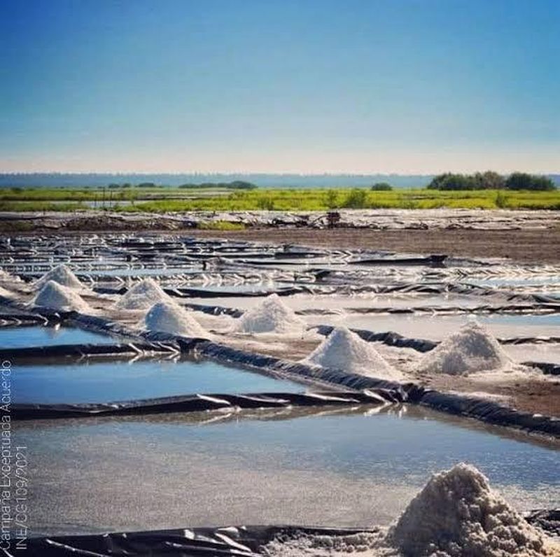 En este momento estás viendo Las Salinas de Cuyutlán: 500 años de historia y una tradición que sigue viva en Colima