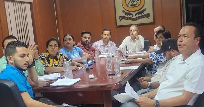 En este momento estás viendo Analizan erradicar en Armería la pirotecnia por riesgos y contaminación auditiva