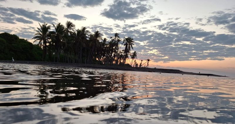 En este momento estás viendo Cooperativa de Tecuanillo denuncia falta de vigilancia en campamento tortuguero