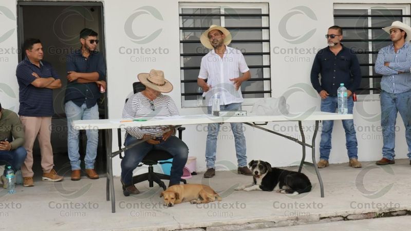 En este momento estás viendo Productores de plátano toman pacíficamente el Consejo de Productores en Tecomán; exigen nueva mesa directiva