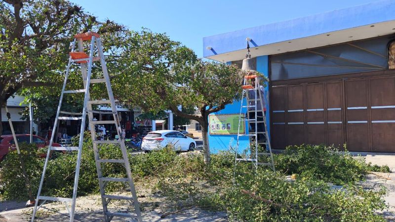 En este momento estás viendo Gobierno de Tecomán impulsa trabajos permanentes de limpieza y alumbrado público