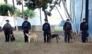 Lee más sobre el artículo SSP Colima realiza jubilación de elementos caninos de la Unidad Estatal K9