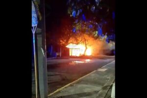 Lee más sobre el artículo Incendio en locales de comida frente a hospital de Tecomán deja sólo daños; rescatan a gato del fue