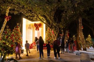 Lee más sobre el artículo El Bosque Navideño concluye con balance positivo; más de 37 mil personas lo disfrutaron: Subsectur Colima