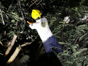 Lee más sobre el artículo Ayuntamiento de Colima despliega atención inmediata tras primera lluvia de 2026