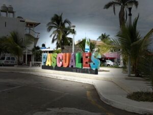 Lee más sobre el artículo Ante multitud esperada, Boca de Pascuales exige orden y respeto a comerciantes