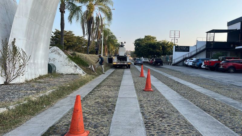 En este momento estás viendo Ayuntamiento de Colima realiza limpieza y mantenimiento de camellones y áreas verdes