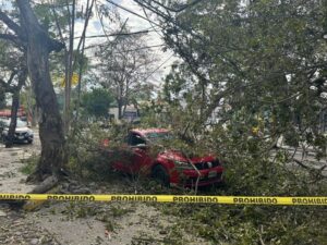Lee más sobre el artículo Autoridades atienden caída de rama sobre vehículo en la avenida Ignacio Sandoval