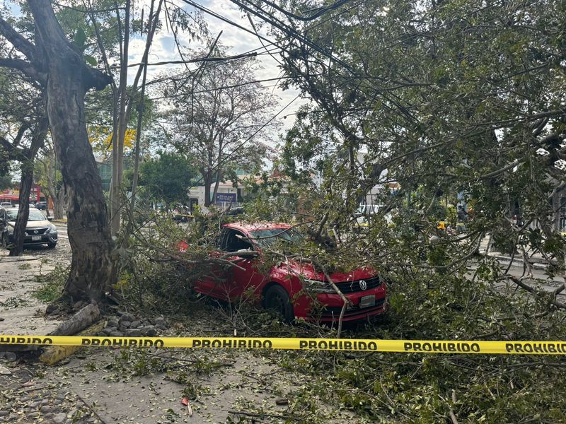 En este momento estás viendo Autoridades atienden caída de rama sobre vehículo en la avenida Ignacio Sandoval