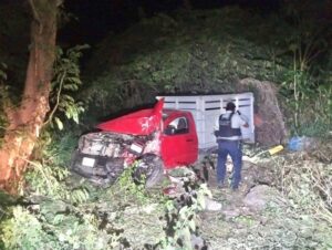 Lee más sobre el artículo Camioneta se impacta contra un árbol en la carretera Armería–Coalatilla