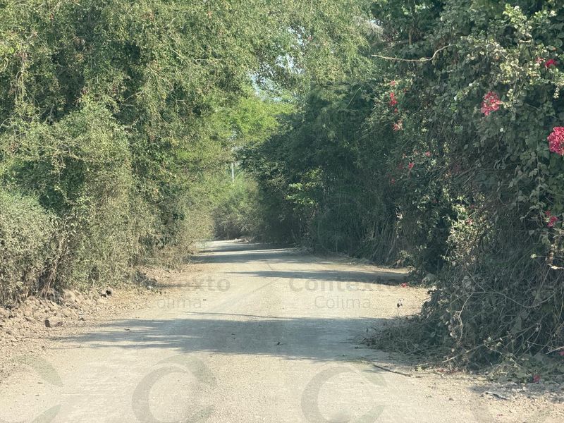 En este momento estás viendo Localizan sin vida a hombre reportado como desaparecido en Tecomán