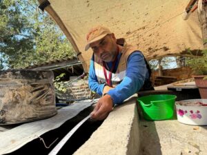 Lee más sobre el artículo Salud Colima refuerza acciones de control larvario en municipios costeros