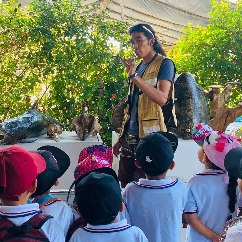 En este momento estás viendo El Tortugario de Cuyutlán opera sin apoyos gubernamentales y depende de visitas para subsistir