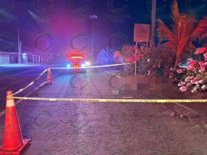 Lee más sobre el artículo Accidente en la Tecomán–Armería deja a una mujer sin vida