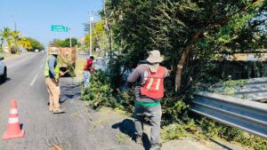 Lee más sobre el artículo Cuadrilla del Ayuntamiento de Colima realiza limpieza y mejora en el Tercer Anillo