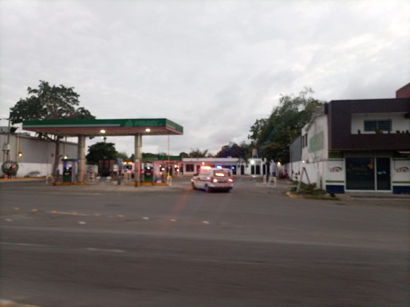En este momento estás viendo Ataque de abejas en gasolinera de Armería deja a dos lesionados, entre ellos un menor