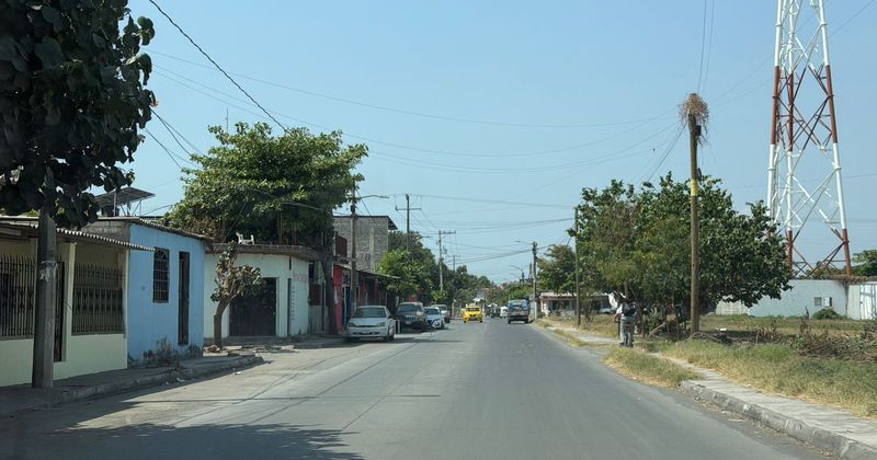 En este momento estás viendo Palma Real y La Cuarta, entre focos rojos por abandono animal en Tecomán
