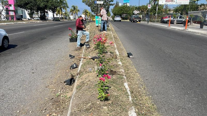 En este momento estás viendo Realizan limpieza y mantenimiento en el Tercer Anillo Periférico