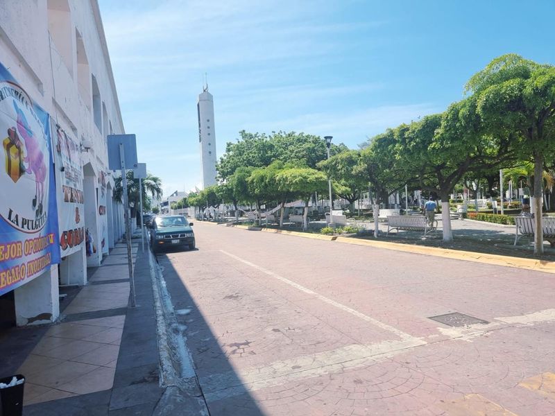 En este momento estás viendo Comerciantes del centro de Tecomán piden regular mercaditos en el jardín para evitar afectaciones