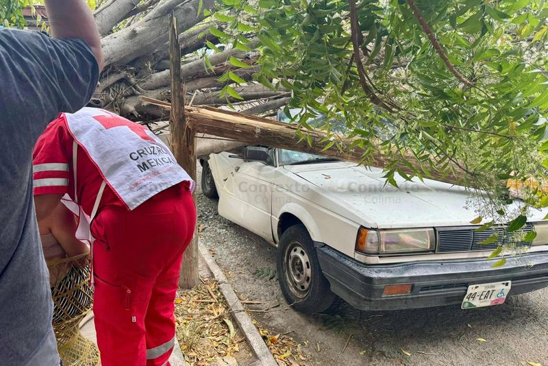 En este momento estás viendo Se desploma árbol y sorprende a pareja; hay dos heridos en Villa de Álvarez