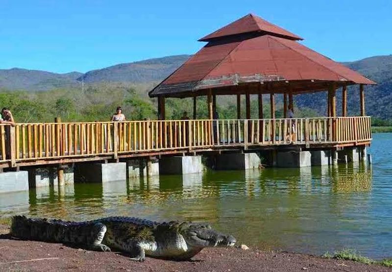 En este momento estás viendo Proponen ruta para rescatar el cocodrilario de Cofradía de Hidalgo