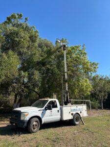 Lee más sobre el artículo Rehabilitan alumbrado público en campo de fútbol y zona centro de Tecomán