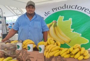 Lee más sobre el artículo Plataneros de Cerro de Ortega buscan mantener precio mínimo de 9 pesos por kilo