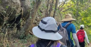 Lee más sobre el artículo Con fe y mayor seguridad, peregrinos de Tecomán retoman ruta hacia Talpa