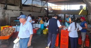 Lee más sobre el artículo En Armería realizan jornada de vacunación contra el sarampión en zonas agrícolas