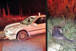 Lee más sobre el artículo Vaca provoca accidente en la carretera Madrid–Caleras; una mujer resulta lesionada