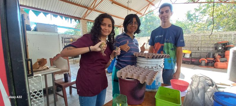 En este momento estás viendo Realiza UdeC proyecto científico para mejorar eficiencia en la producción de aves cinegéticas