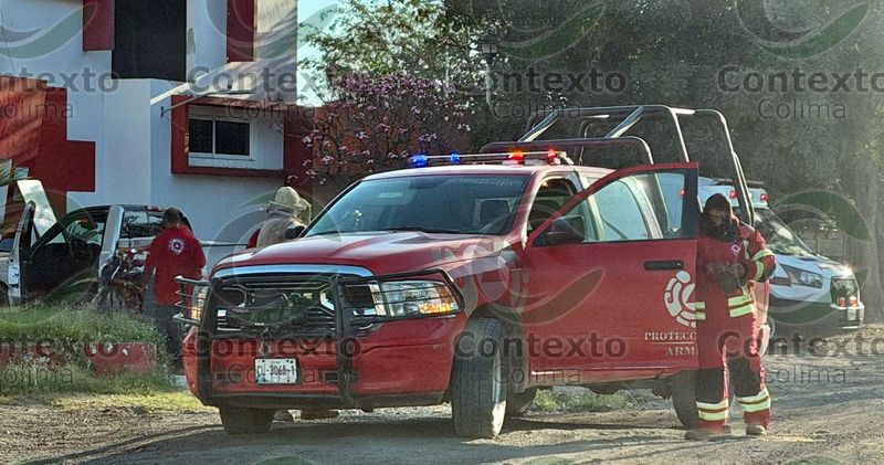 En este momento estás viendo Enjambre de abejas ataca a 14 personas en la colonia Ferrocarril, en Armería