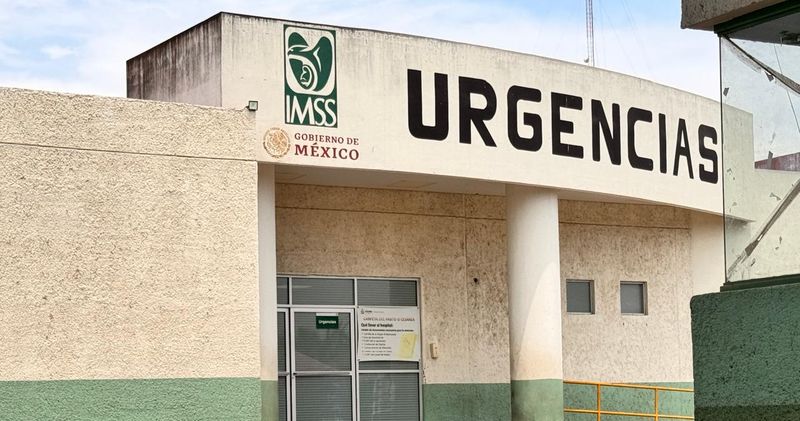 En este momento estás viendo Adulto mayor es hospitalizado de emergencia tras ataque de abejas en Armería