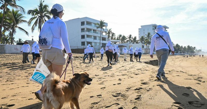 En este momento estás viendo Rosi Bayardo encabeza jornada de limpieza de playas