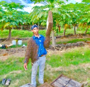 Lee más sobre el artículo ‘Unidades de Protección Civil deben tener personal preparado para atender enjambres’: Francisco Larios