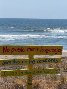 Lee más sobre el artículo Proyectan El “Malecón del Robalo”, nuevo símbolo turístico para Tecuanillo