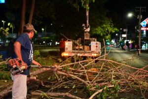 Lee más sobre el artículo Inician poda y mantenimiento en camellones de avenida Felipe Sevilla del Río para prevenir riesgos por lluvias