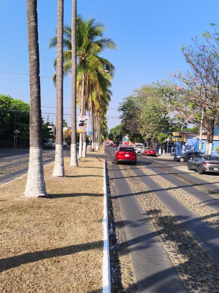 En este momento estás viendo Sindicato del ayuntamiento capitalino retoma rehabilitación de camellones y áreas verdes