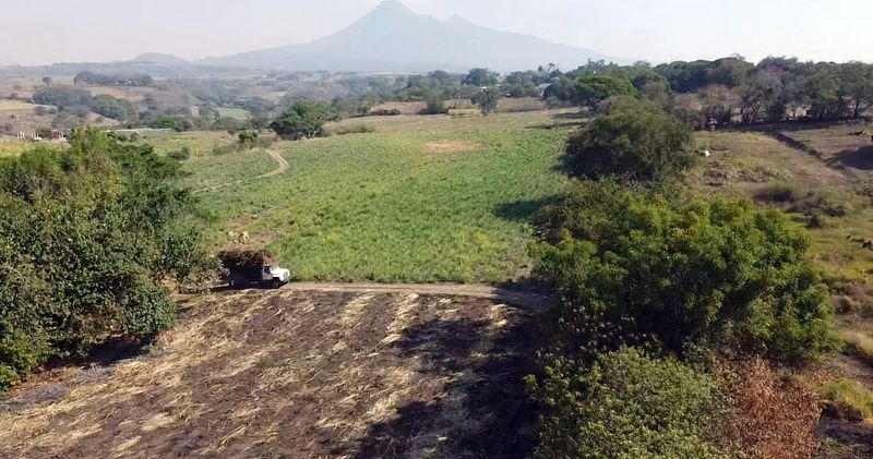 En este momento estás viendo Gobierno del Estado entregó rehabilitación de caminos sacacosechas en zona rural de tres municipios