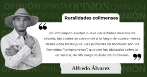 Lee más sobre el artículo La Ciruela como símbolo de unidad y resistencia en Zacualpan