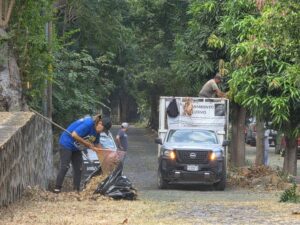 Lee más sobre el artículo Riult Rivera y la Participación Ciudadana Impulsan el Programa “Colima Verde y Vivo”